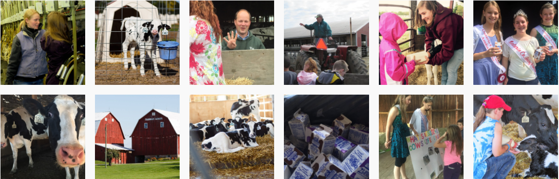 Farm tours photo collage